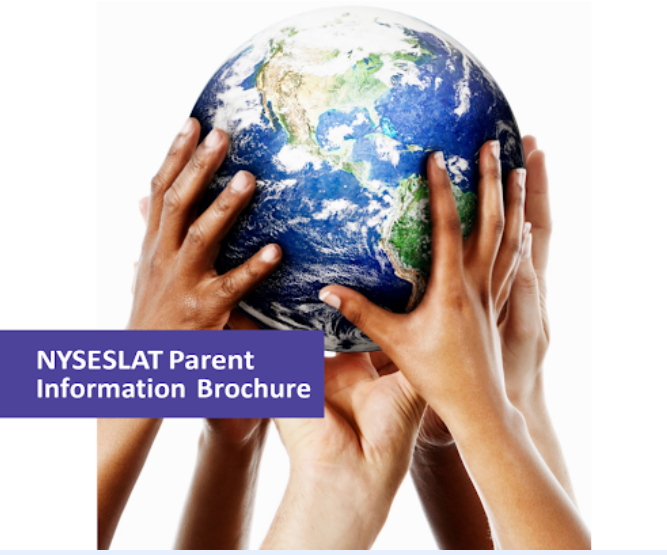 Hands holding globe NYSELAT